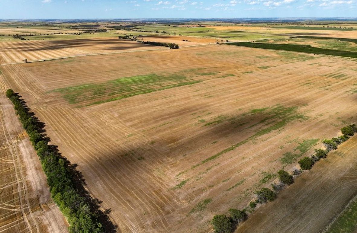 Mitchell Ks, 166.78_003