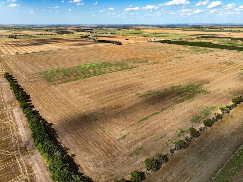 Mitchell Ks, 166.78_003