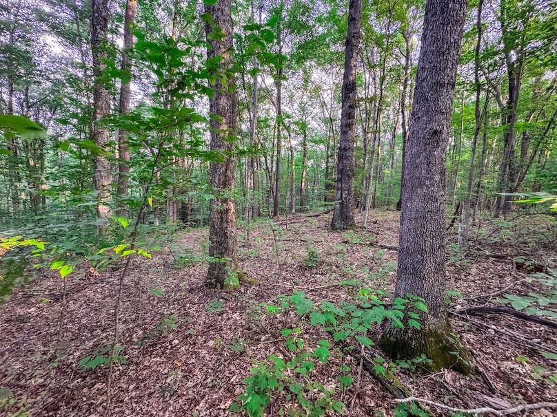 Webster, WV 42 AC Barger-37