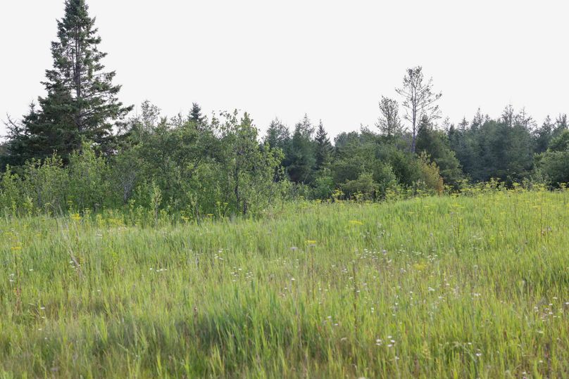 Mackinac20Fewins-6021