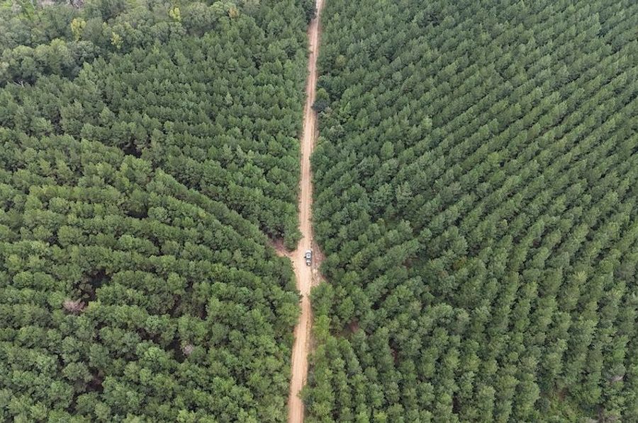 DJI_20240908010434_0087_D