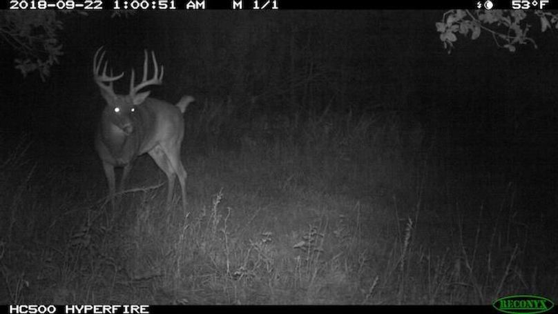 2018-09-22 01-00-51 M 1_1