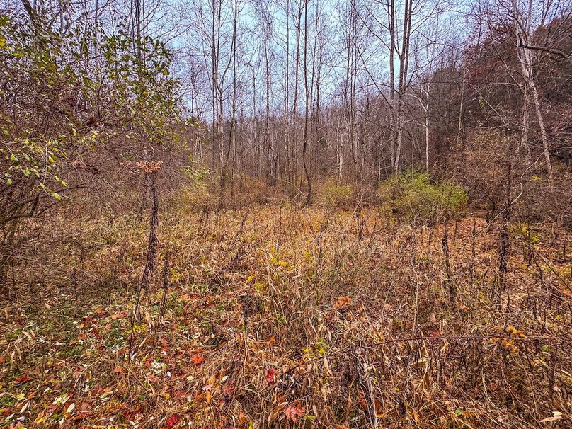 Ritchie, WV 15.5 AC Harper-18