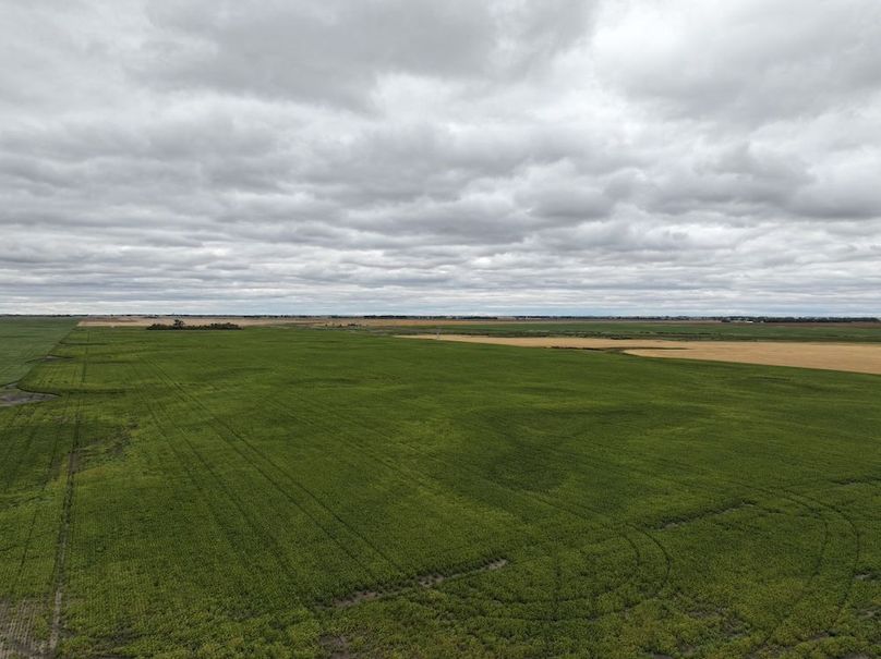 DJI_20250801163148_0734_D