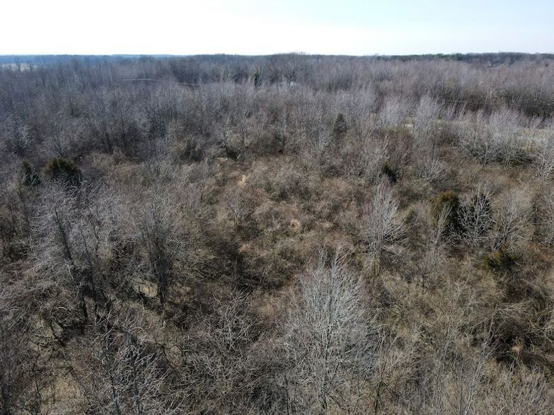 vandalia 450 (2)-1807