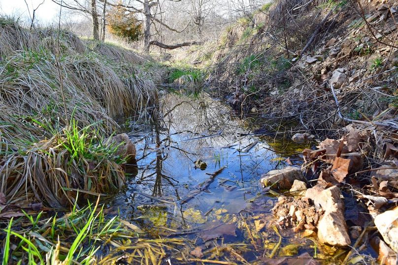 DSC_0337_inPixio (2)