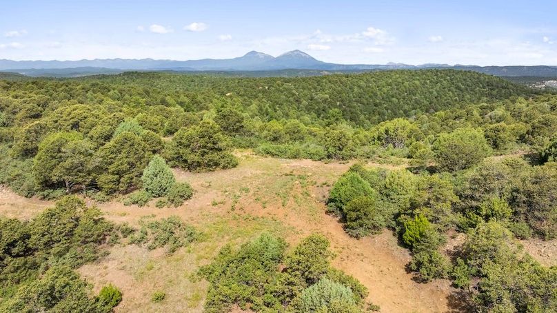 DJI_20250701113021_0013_D_1