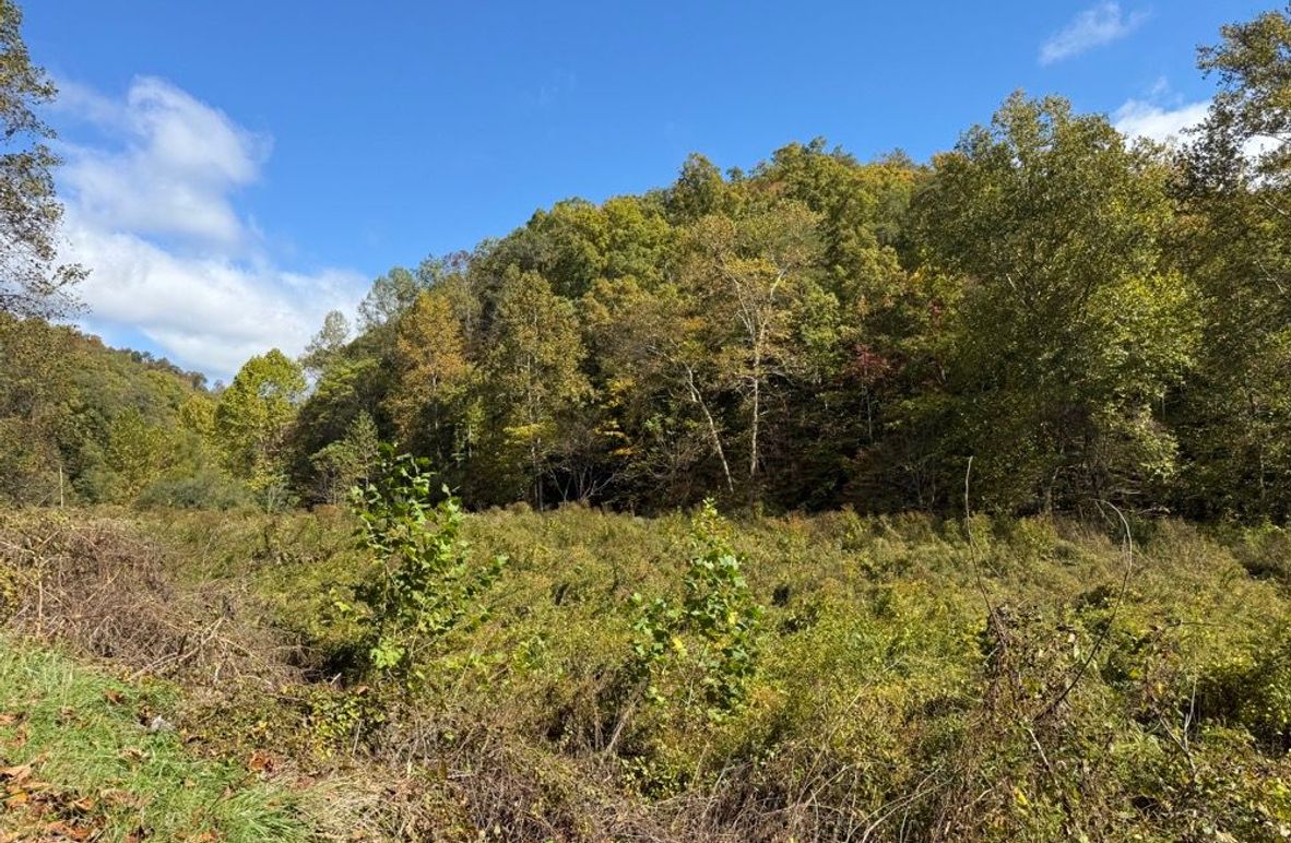 004 the field area in the north part of the property