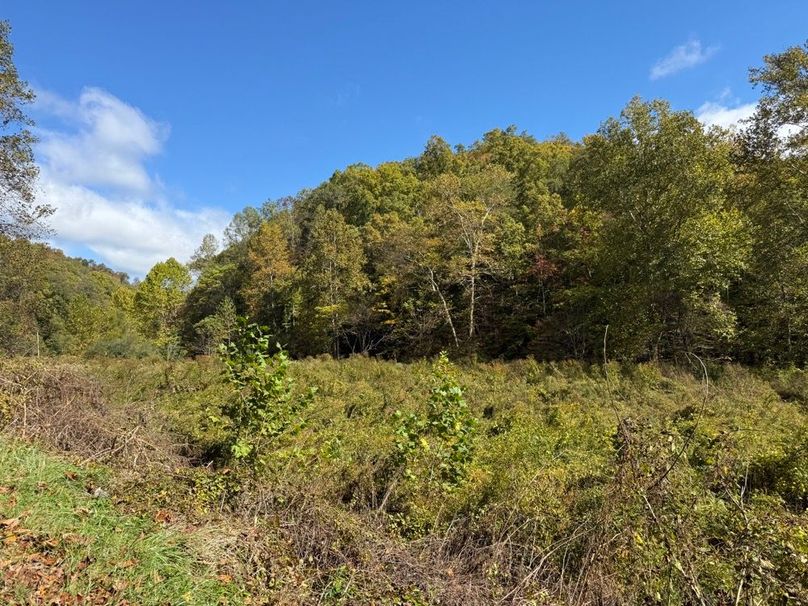 004 the field area in the north part of the property