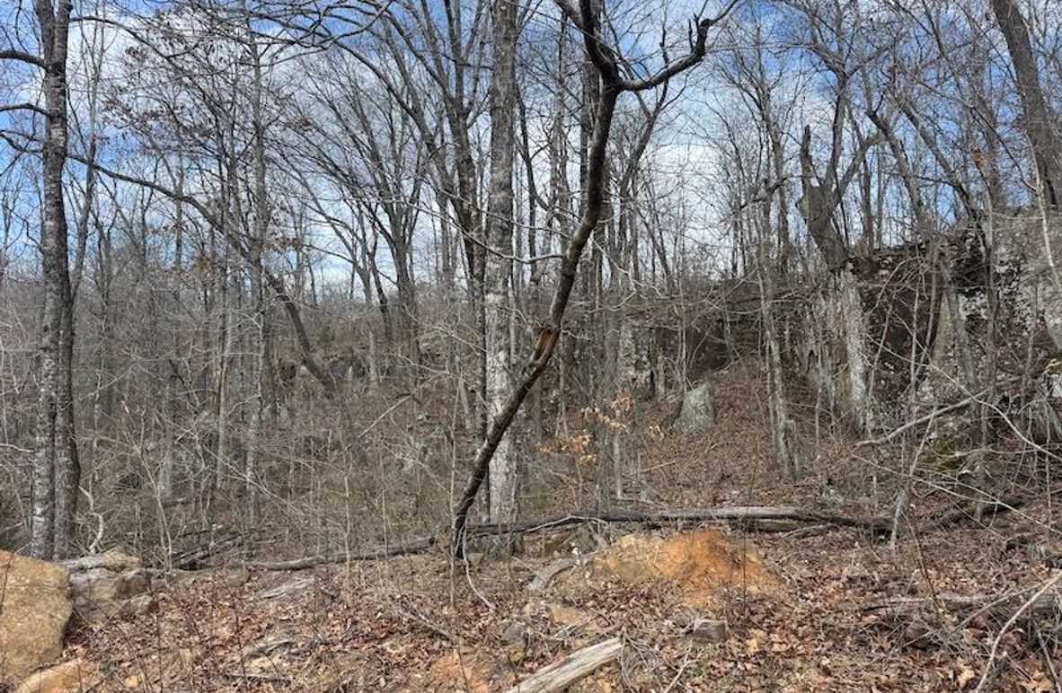 stone8020260306_0070