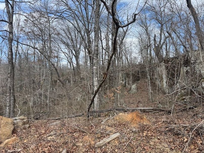 stone8020260306_0070