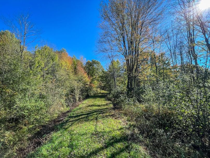 Wood 41.451, Collins -30