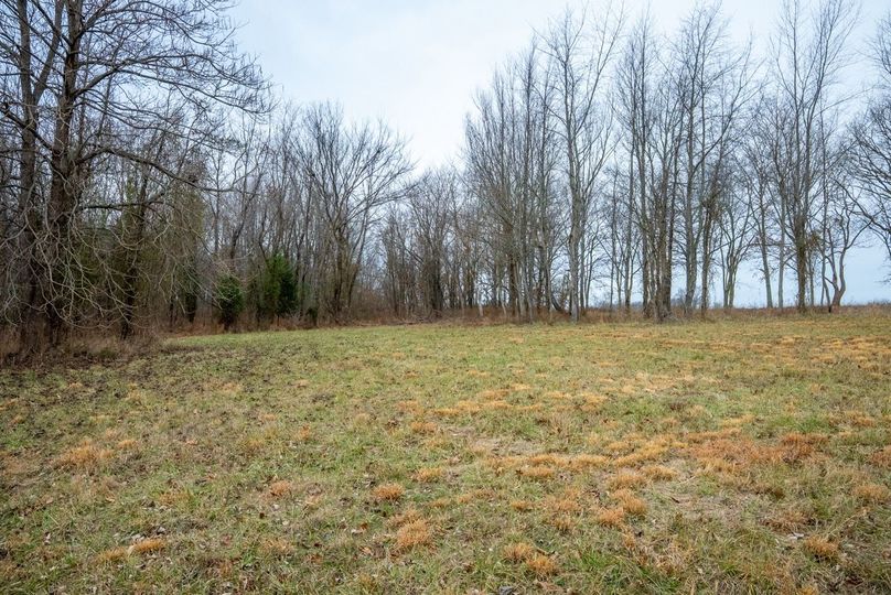 Copy of DSC00732 Large