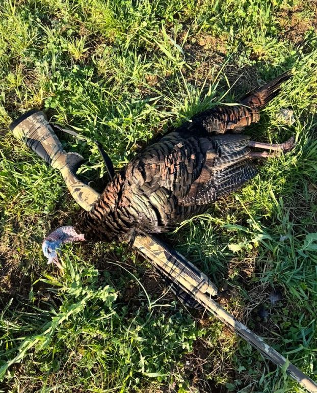 View recent photos-2