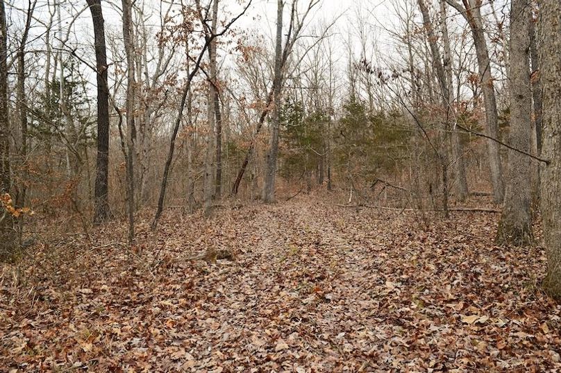 DSC_0013_inPixio (2)