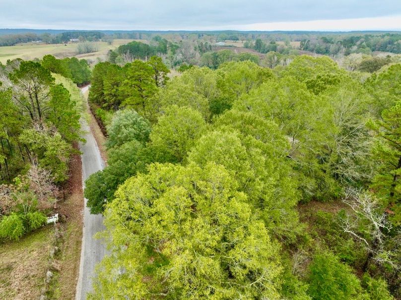 78B9C4E7-A930-40C6-A8F1-8F95522D4D6F_1_201_a-2