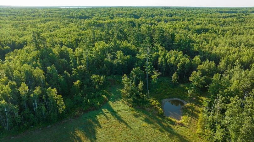 Cass MN 1095 Featured ProPhoto-86