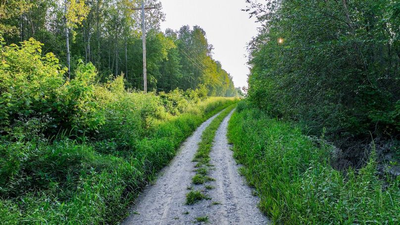 DJI_20240819184020_0155_D