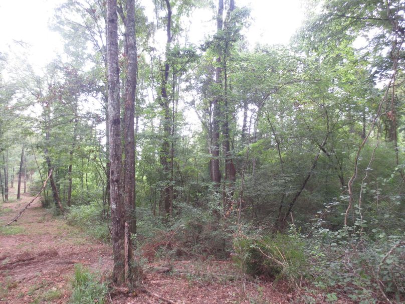 23894F09-25DE-4586-BF71-8AF2F954D648