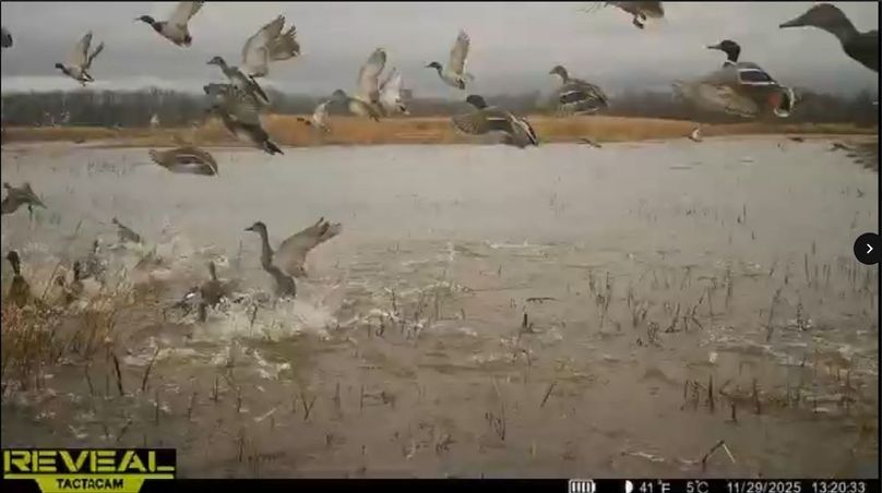 Screenshot_24-1-2026_91151_drive.google.com