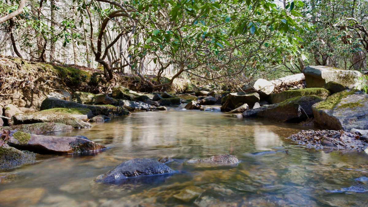 Unrestricted Hunting Tract With Buildable Acreage And Creek In South