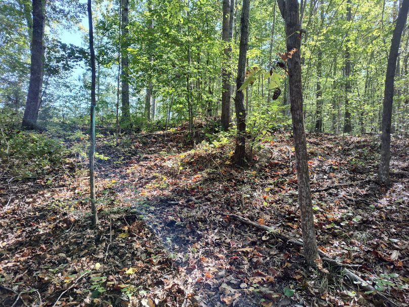 IMG_20231009_152746544_HDR