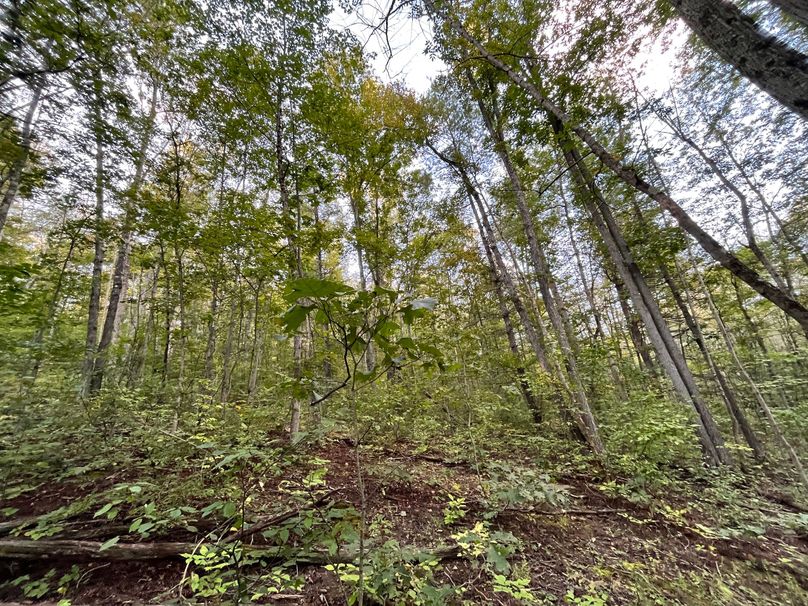 Tioga_20_Peters Photo 14