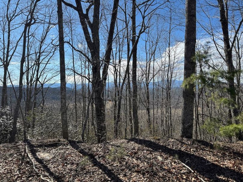 Cherokee 118.85 Harris Top-29