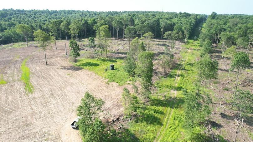 dji_fly_20250624_095612_341_1750773631356_photo
