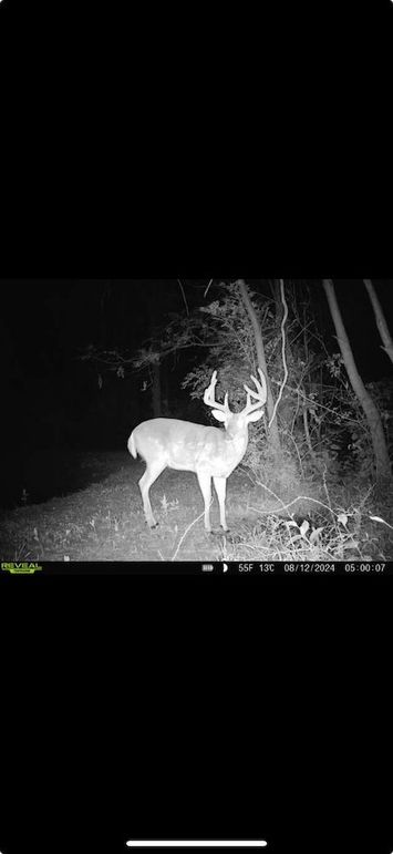 Screenshot 2026-01-09 at 12.39.55 PM