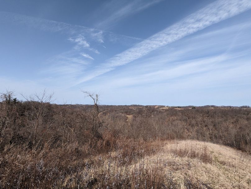 PXL_20230301_160819233