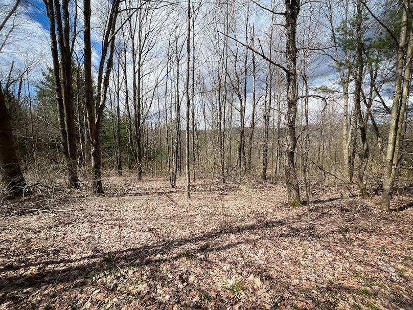 Tioga__NY_109.7_Burris_Photos_64