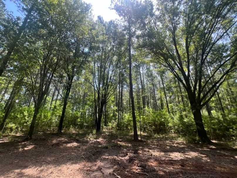 4CBB92E5-A269-47B2-9D1A-6F26F915C846_1_105_c