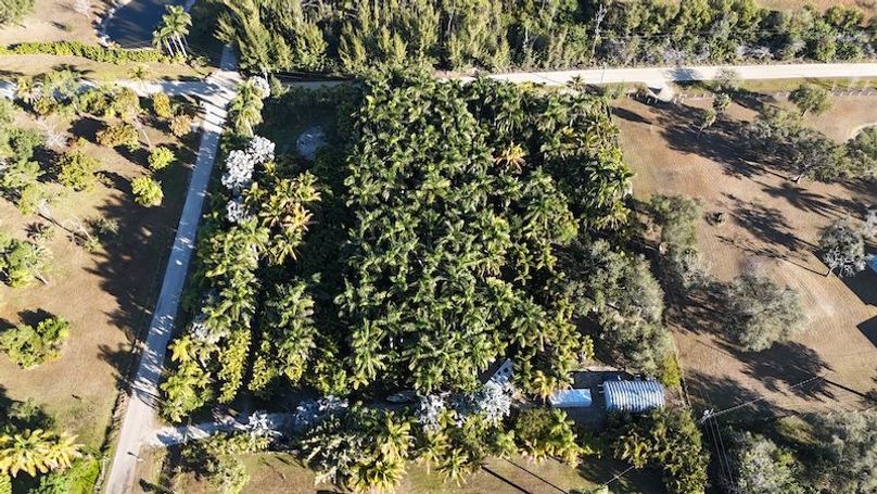 DJI_20260206090009_0243_D