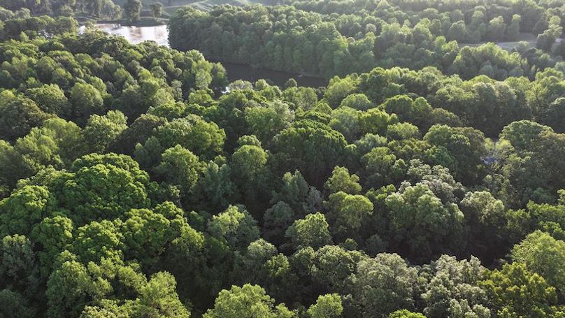 Desoto 8.3 Clement (Final Frontier) -6