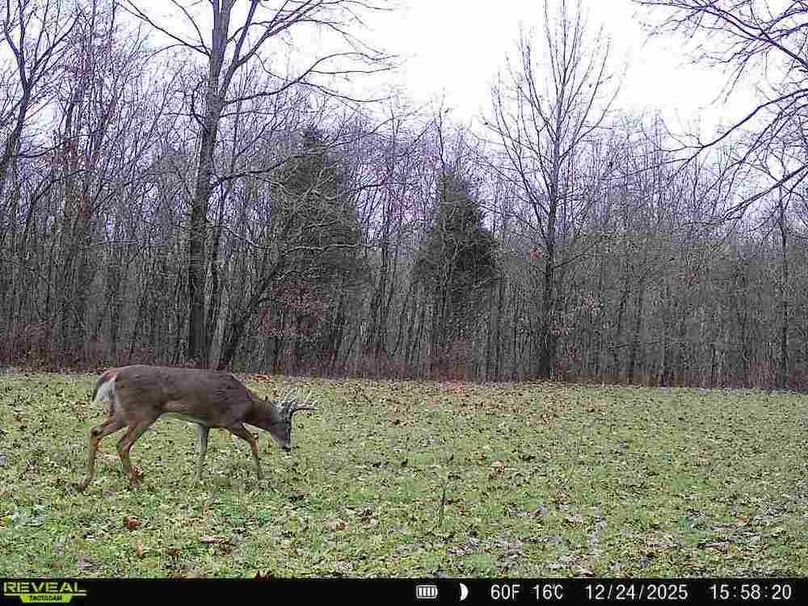 860516067590665-100-3-12242025155820-V-W1000315