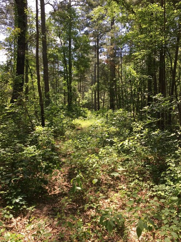 8184F2A5-F5E6-4449-A581-17CD99BFF5E1_1_105_c