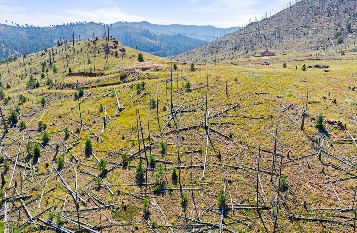 DJI_20250813111146_0005_D_1