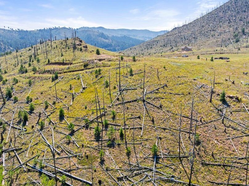 DJI_20250813111146_0005_D_1