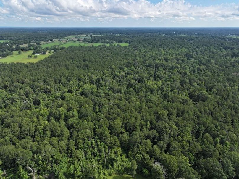 dji_fly_20250624_100240_0129_1750950818501_photo