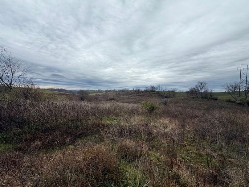 006 open field area viewed from the middle of the property