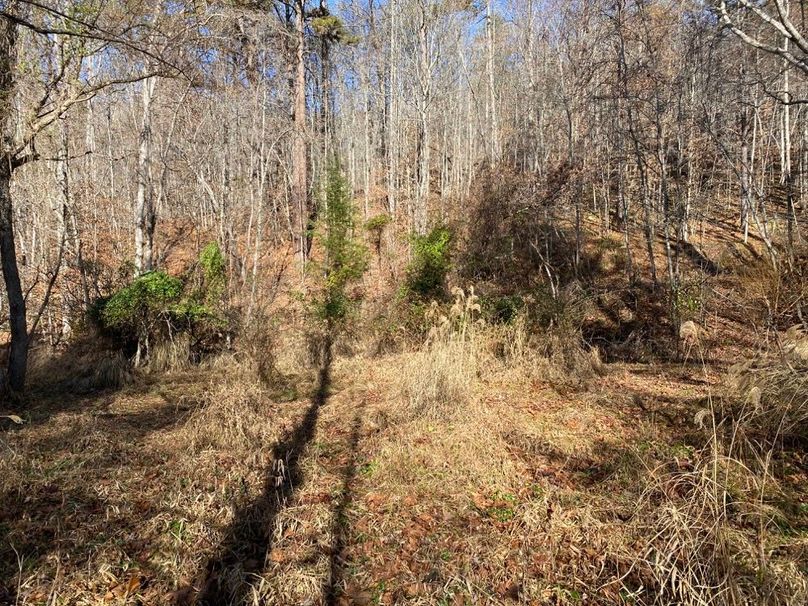 017 small landing area just across the creek