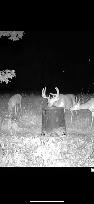 trailcam18