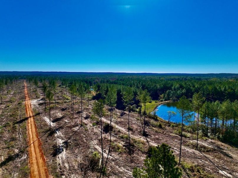 9AA79AB7-30C3-4093-A986-F9F95A39102F_1_201_a