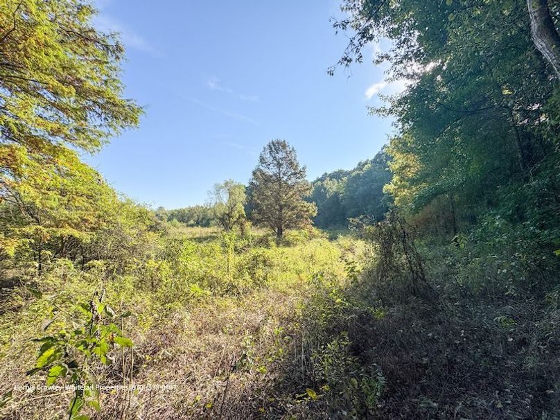 DeSoto 109 Prewett -40