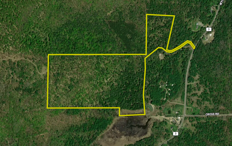 Chemung_60.55_Baumunk Land ID Map 1