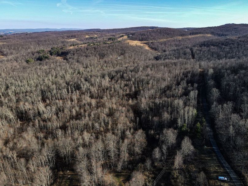 dji_fly_20240304_090516_812_1709561126044_photo