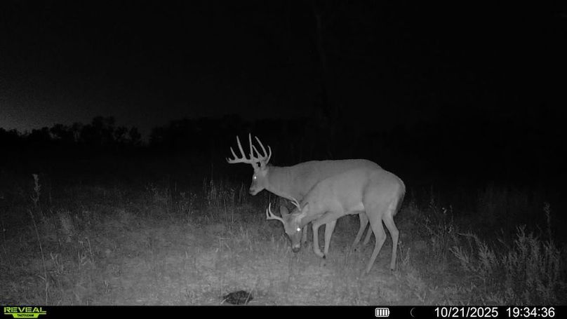 016578001892675-100-3-10212025193436-SYFW13363