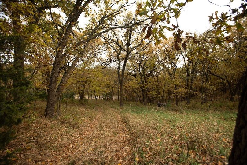 MONONA CO IA 14.95_19