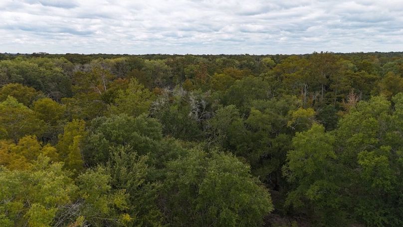 DJI_20240930032933_0126_D